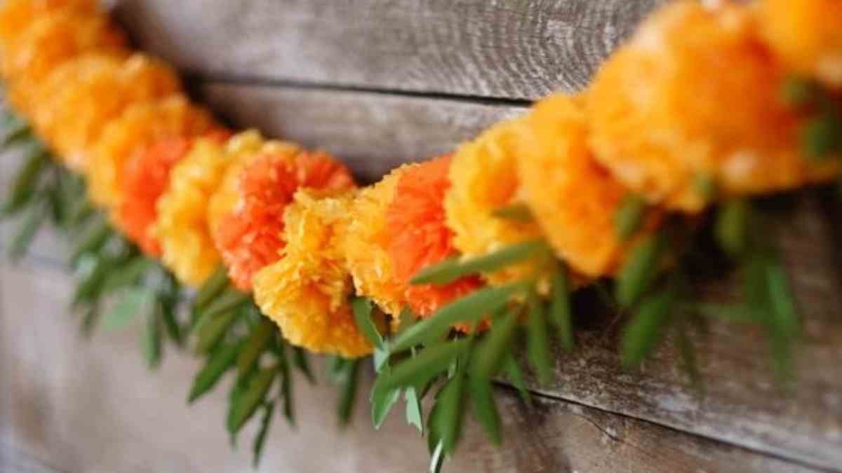 Vandhanwar significance